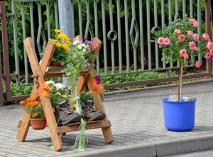 blumen, flowers, beautiful flowers